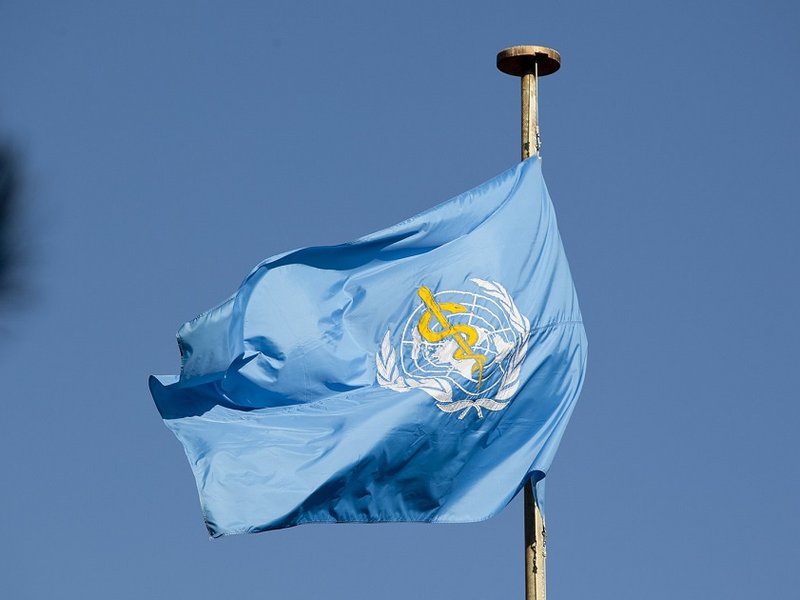 2048px-world_health_organization_flag_resize.jpg