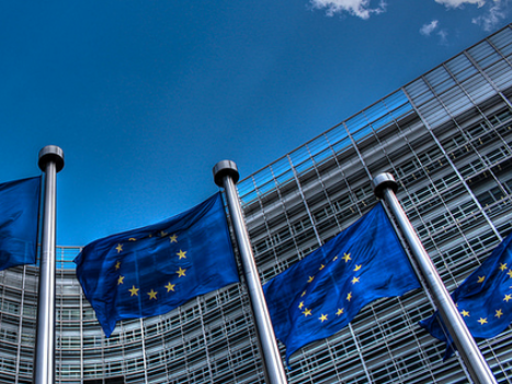 ff-wp-files/2015/05/EU-flags.png