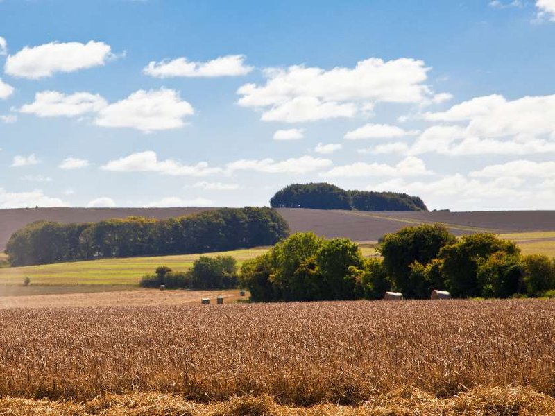 agriculture.jpg