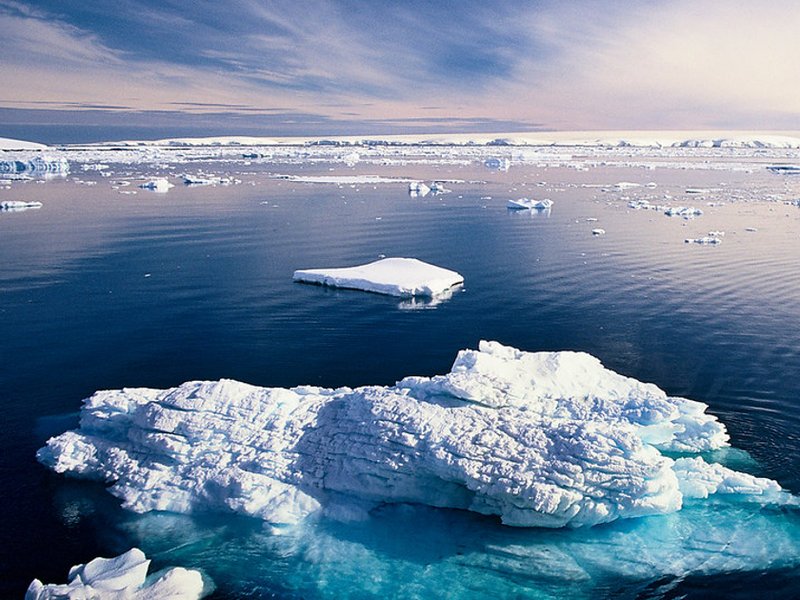 antarctic_resized.jpg