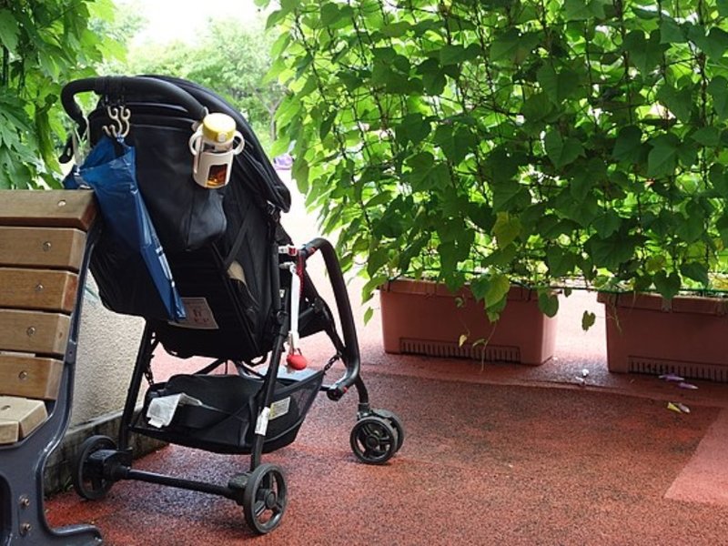bugaboo-cropped.jpg