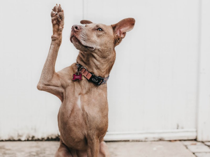 camylla-battani-aoqggaqrlpu-unsplash.jpg