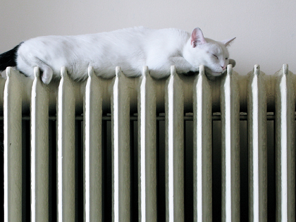 cat_on_radiator_featured.png