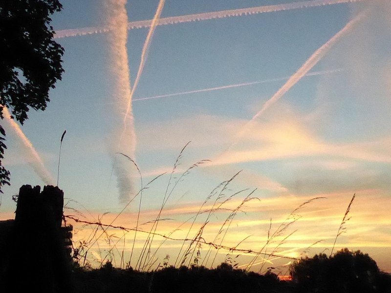 chemtrails-_cropped.jpg