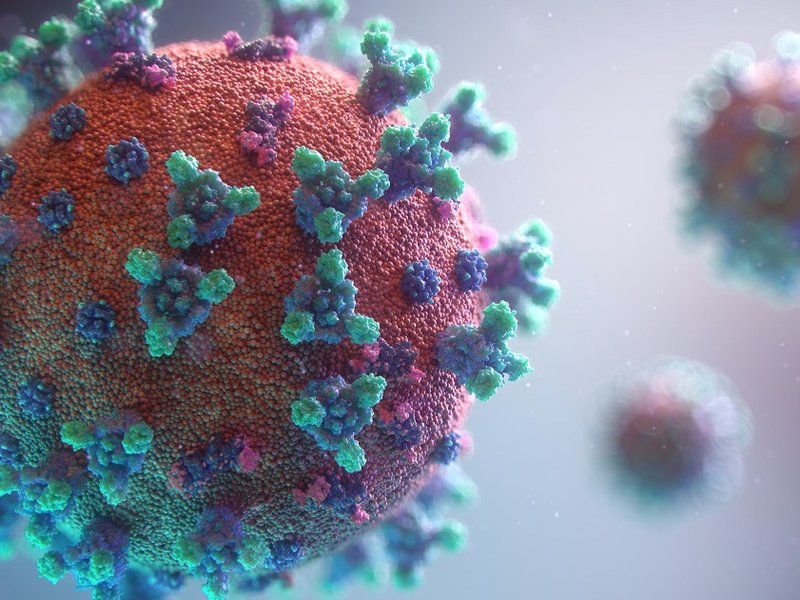 coronavirus.jpg