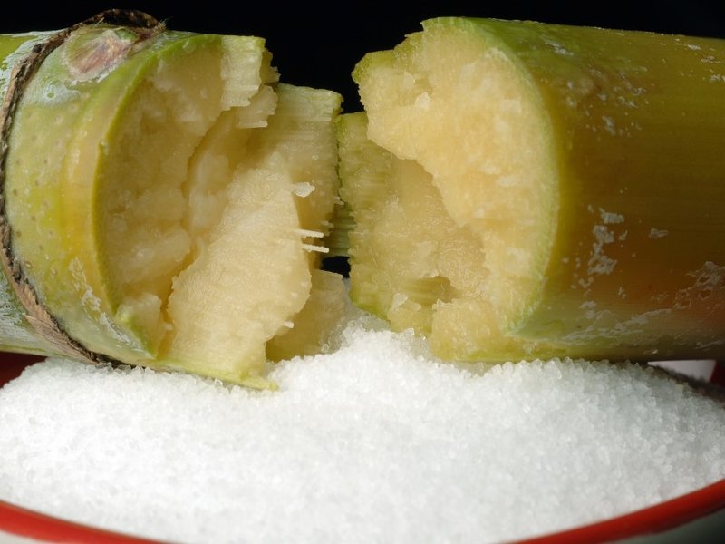 csiro_scienceimage_10529_sugarcane_and_bowl_of_sugar_resize.jpg