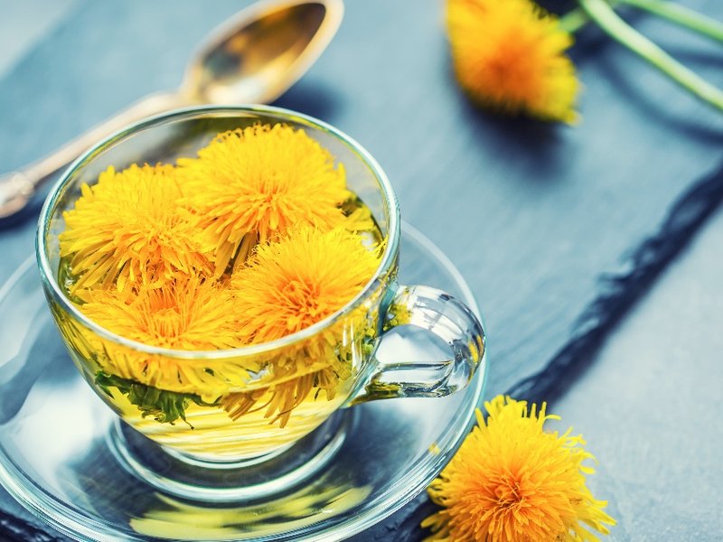 dandelion_piece.jpg