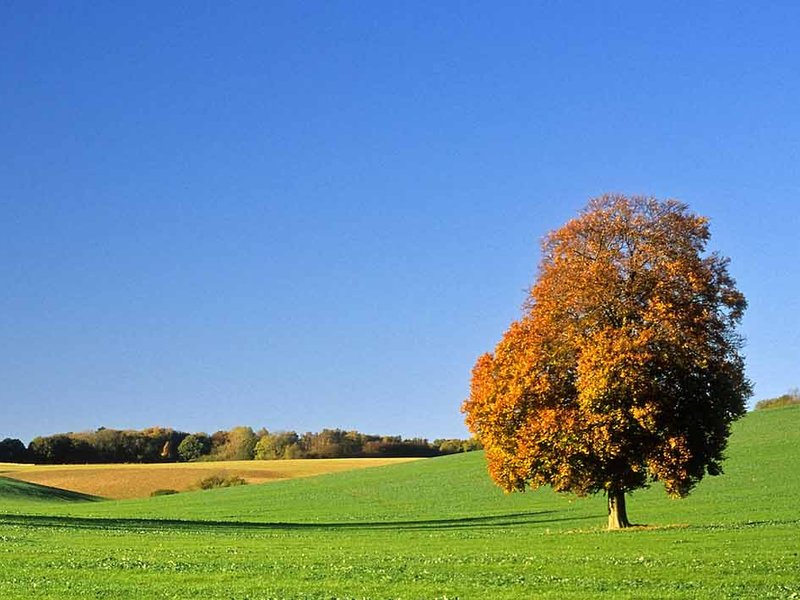 farm_photo_1200_x_630.jpg