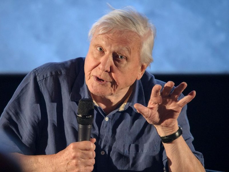 fb_attenborough.jpg