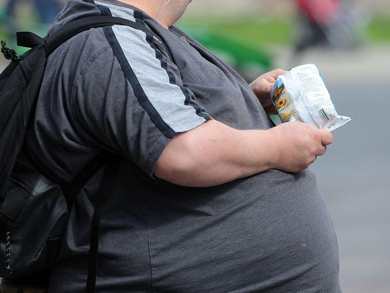 fb_obese.jpg