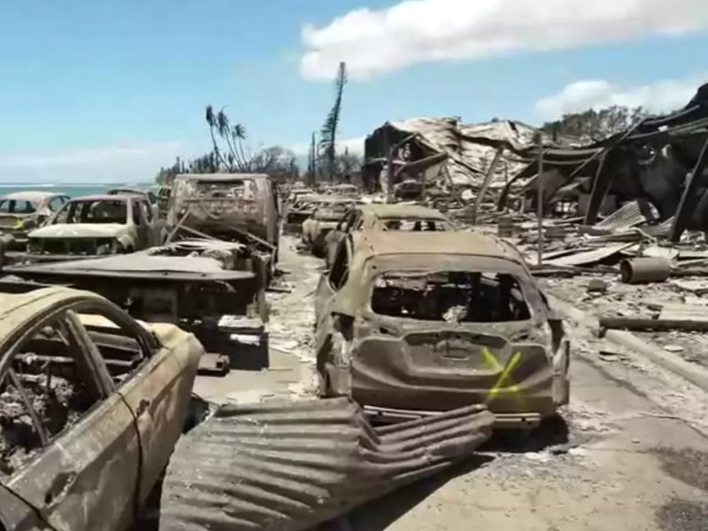 fema_-_b-roll_of_hawaii_wildfire_-_5_(1)_(2).jpg