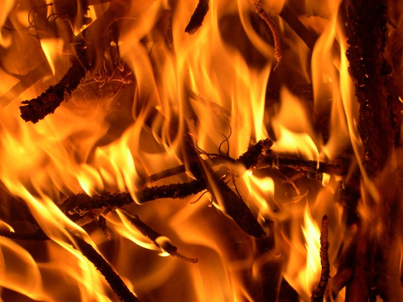 fire_resized.jpg