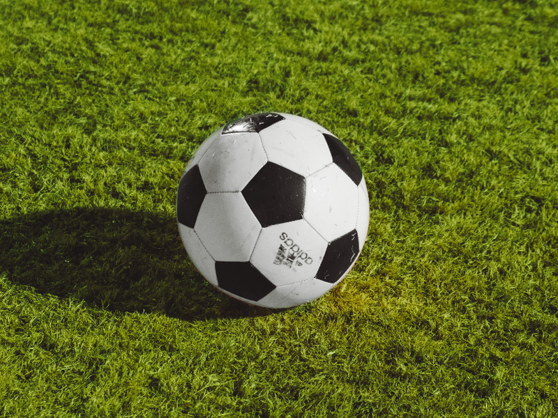fotor_2023-5-4_16_49_36.png