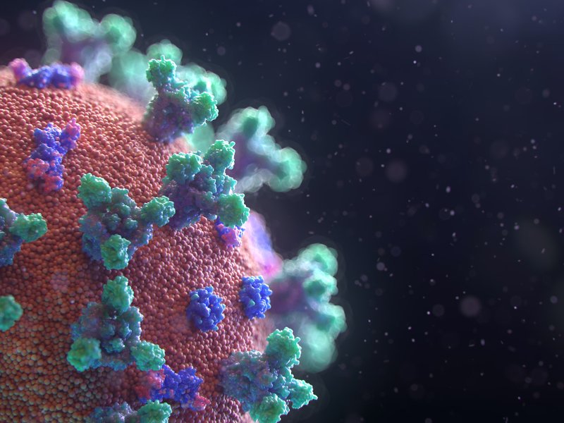 fusion-medical-animation-eaggqoiddmg-unsplash.jpg