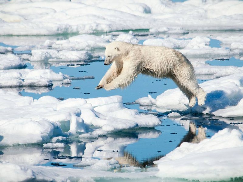 global-warming.jpg