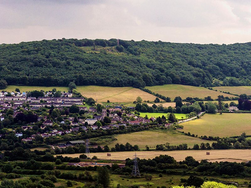 green-belt-pic.jpg