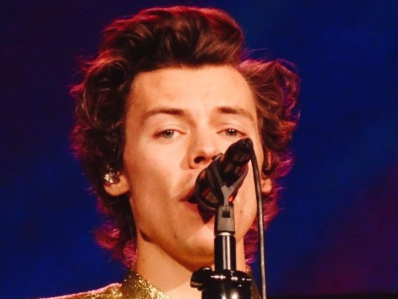 harry_styles1.png