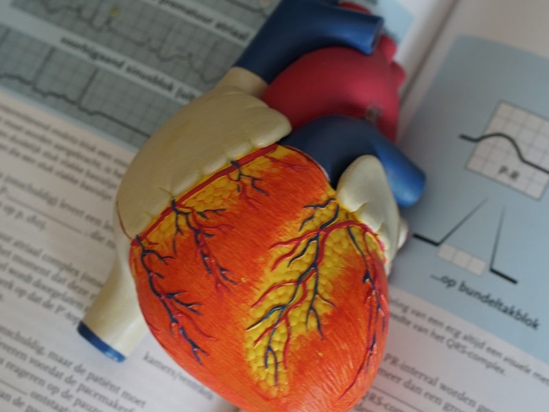 heart_resize.jpg