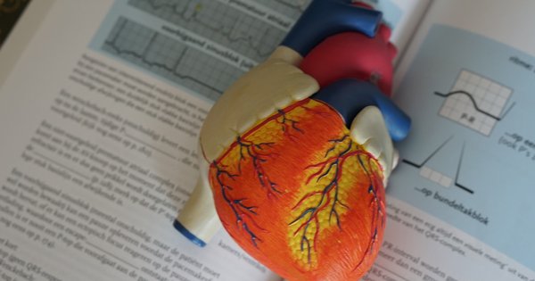 heart_resize.jpg