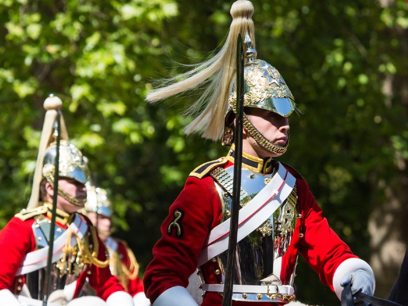horse_guard_resized.jpg