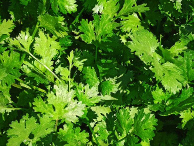 image_1200x630_jpg.jpg