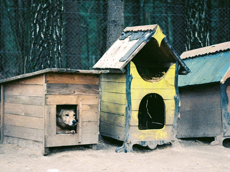 jana-shnipelson-k8i-grjht_0-unsplash_(1).png