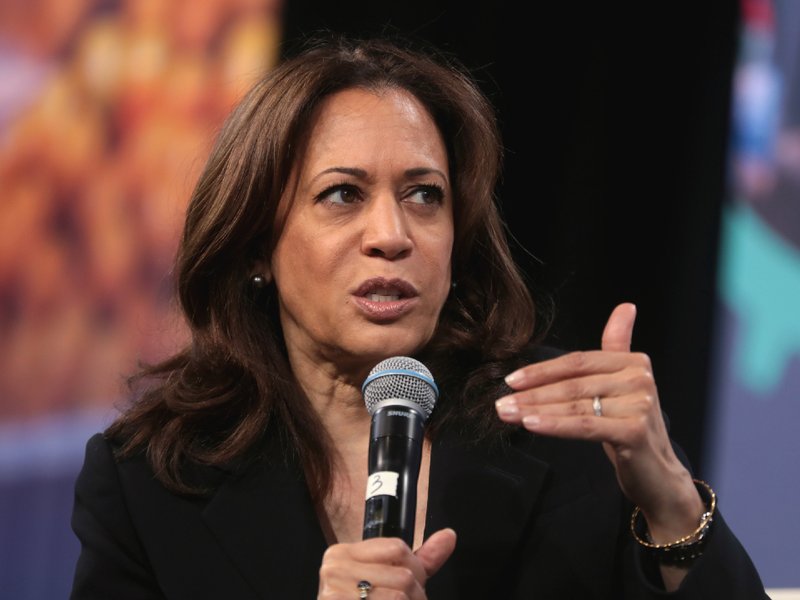 kamala_harris_gun_ownership_resized.jpg