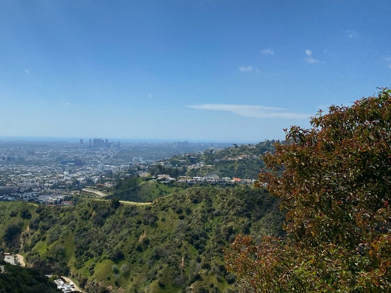 la_view_resized.jpg