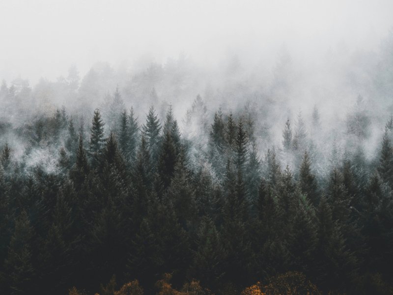 lili-kovac-jongfaefpgg-unsplash_1.jpg