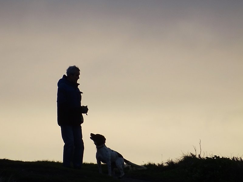 man_and_dog.jpg