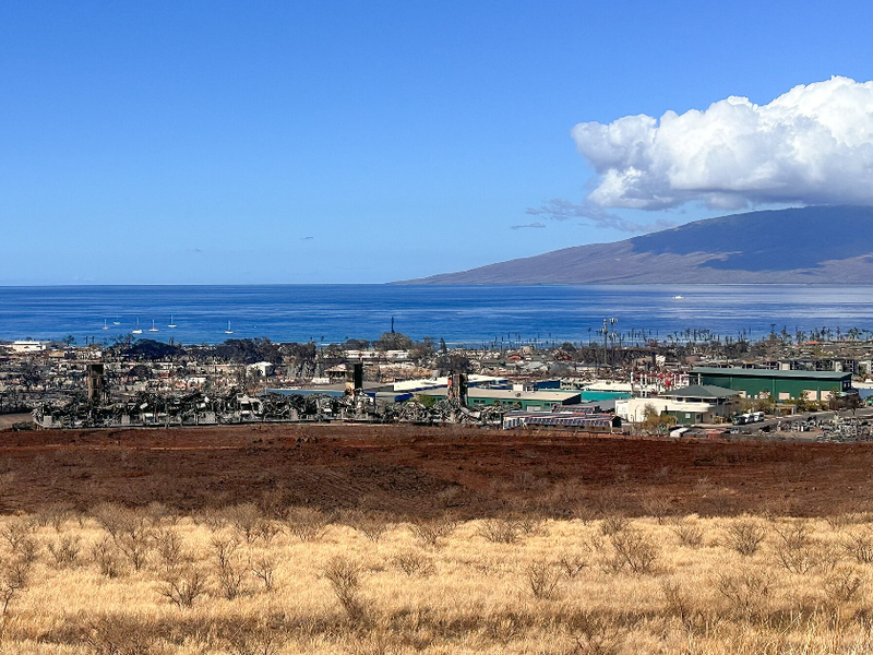 maui_community_of_lahaina_burned_by_wildfire_-_53119593264-fotor-20230831102632.png