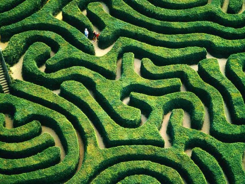 maze.jpg