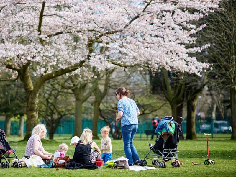 mums-park-1052019.jpg
