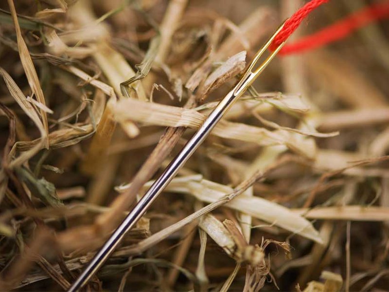 needle-in-haystack.jpg