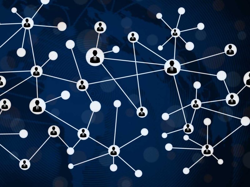 network.jpg