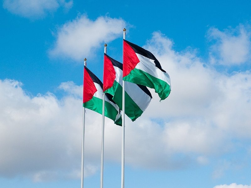 palestine_flags-cropped.jpg
