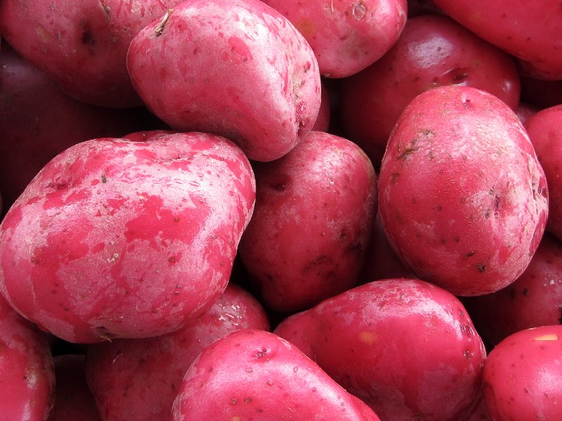 red_potatoes_resized.jpg
