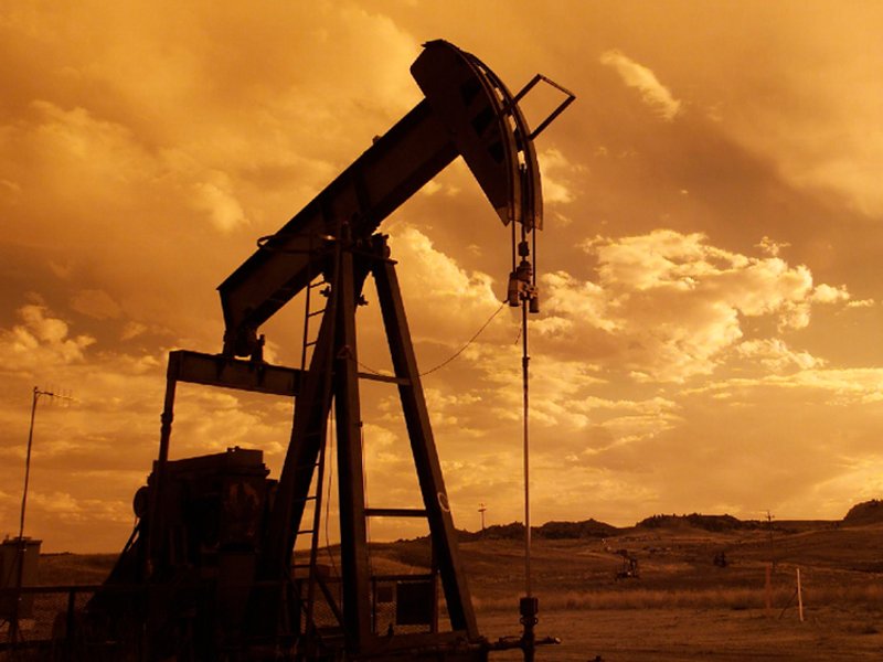 resized_oil_picture.jpg