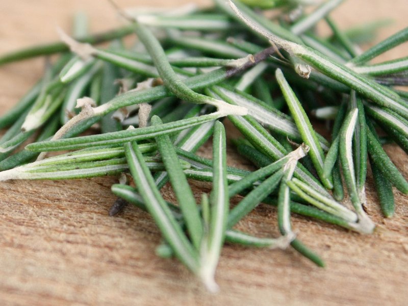 rosemary.jpg