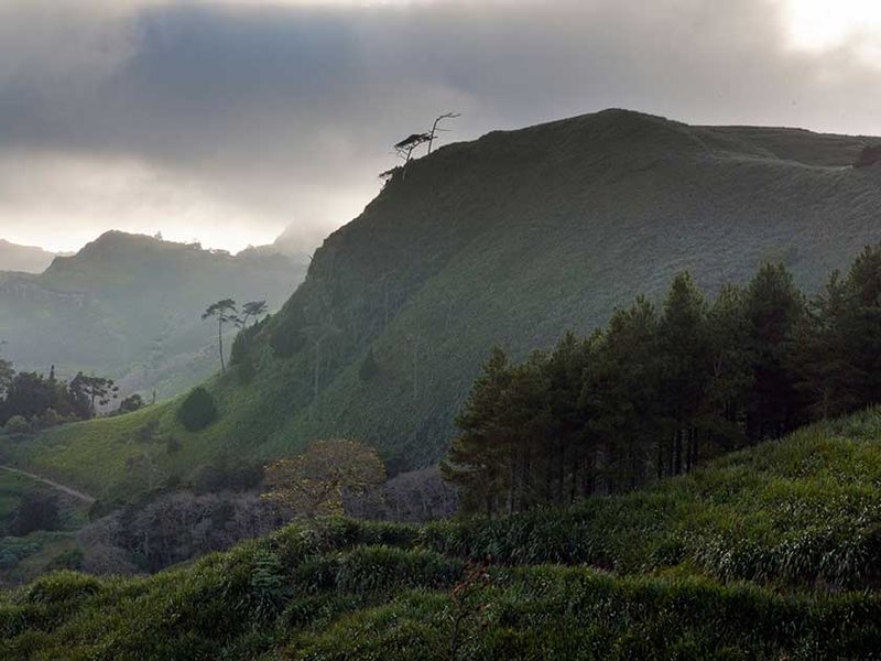 st-helena-dfid.jpg