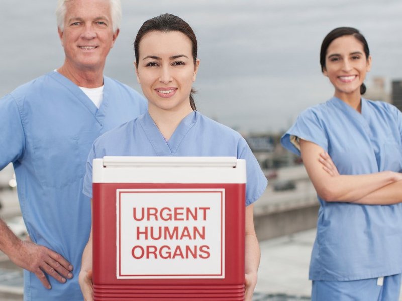 urgent_human_organs.jpg