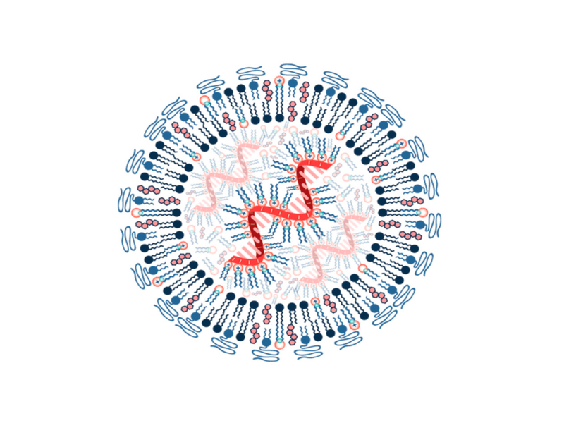 vaccines-09-00065-g001.webp_resized.png