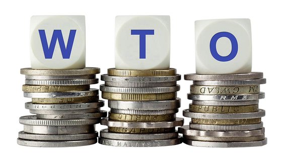 wto-edit.jpg